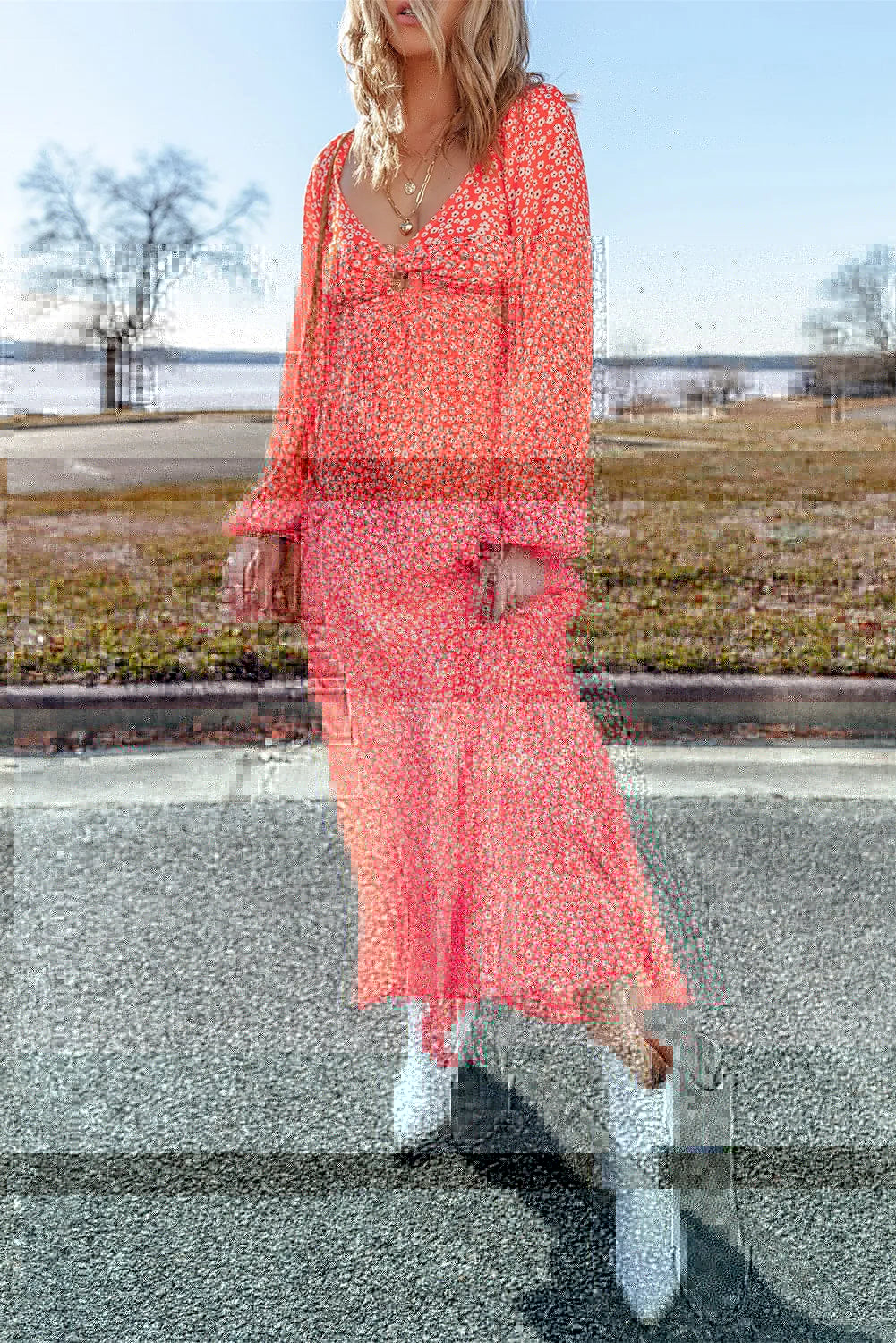 Printed V-Neck Long Sleeve Midi Dress